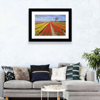Spring Tulip Fields with Dutch Windmill Wall Art