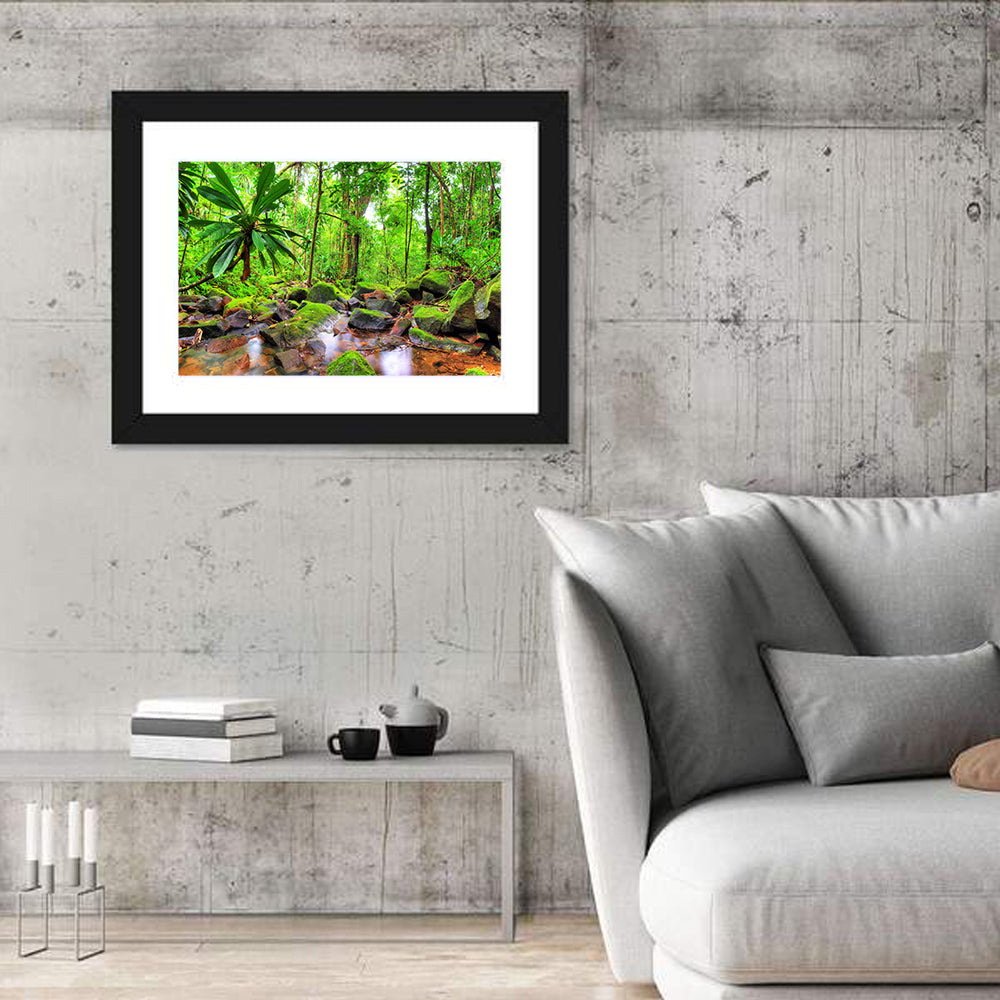 Mossy Rainforest Stream Wall Art in a room, landscape