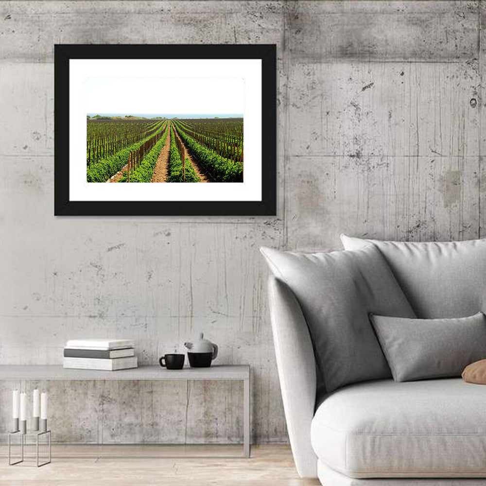 Tomato Fields Wall Art in a room, landscape