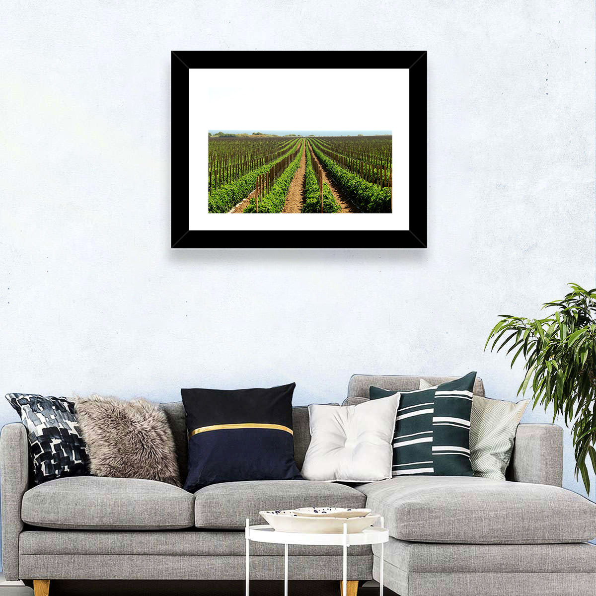Tomato Fields Wall Art in a room, landscape