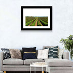 Tomato Fields Wall Art