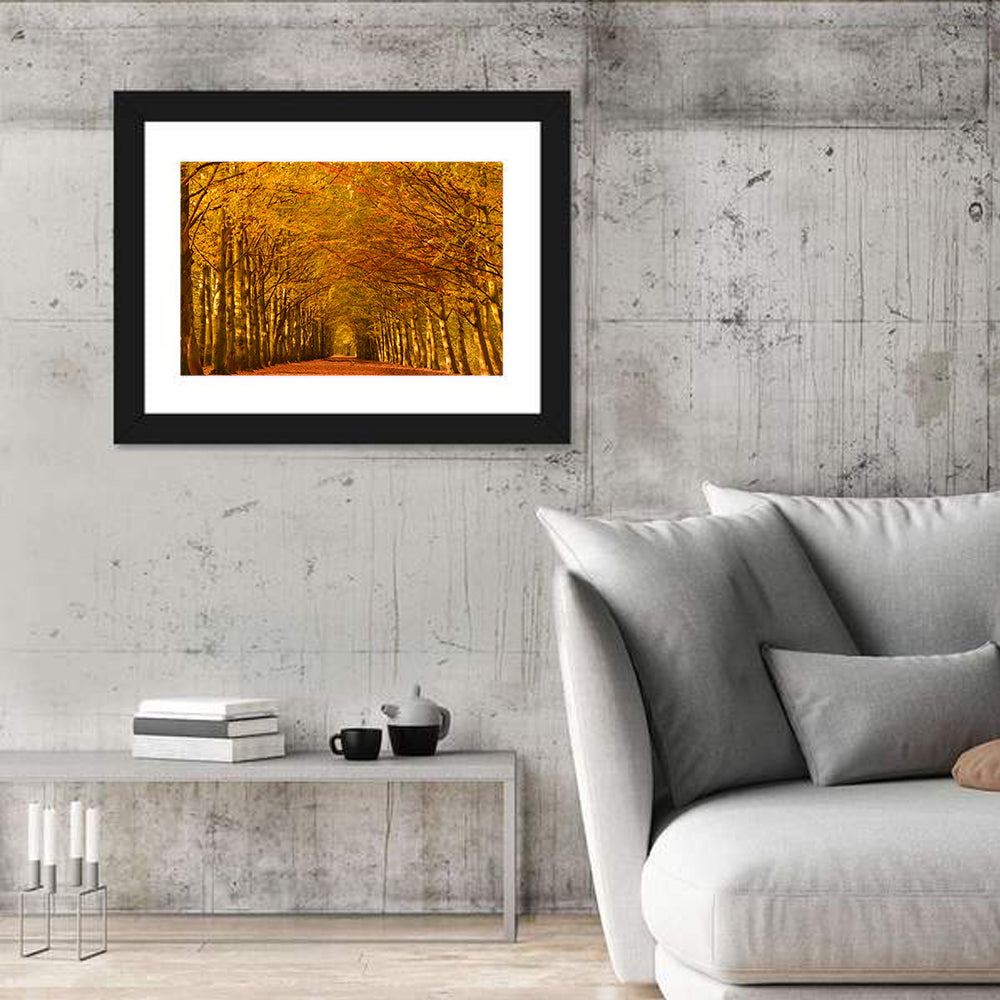 Golden Beech Tree Tunnel in Autumn Wall Art in a room, landscape