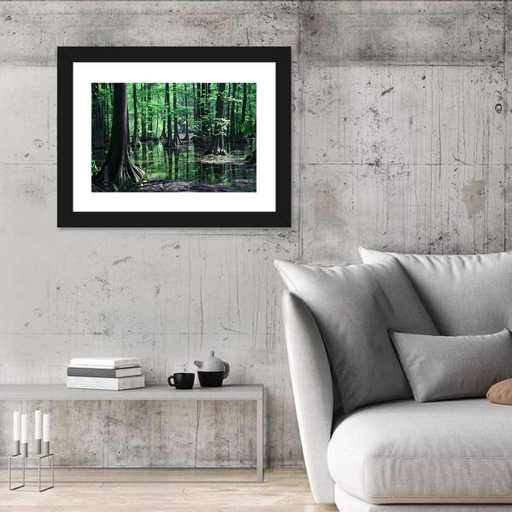 Congaree Swamp Reflection Wall Art in a room, landscape