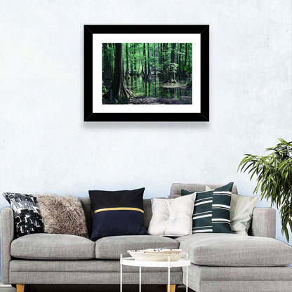 Congaree Swamp Reflection Wall Art