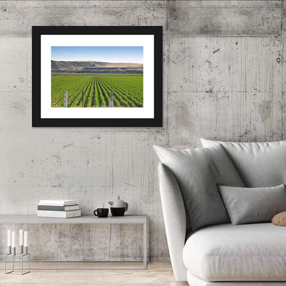 Idaho Corn Field Wall Art in a room, landscape