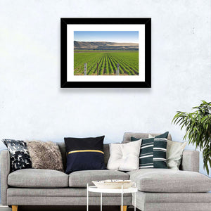 Idaho Corn Field Wall Art