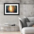 Misty Redwood Road with Golden Sunburst Wall Art