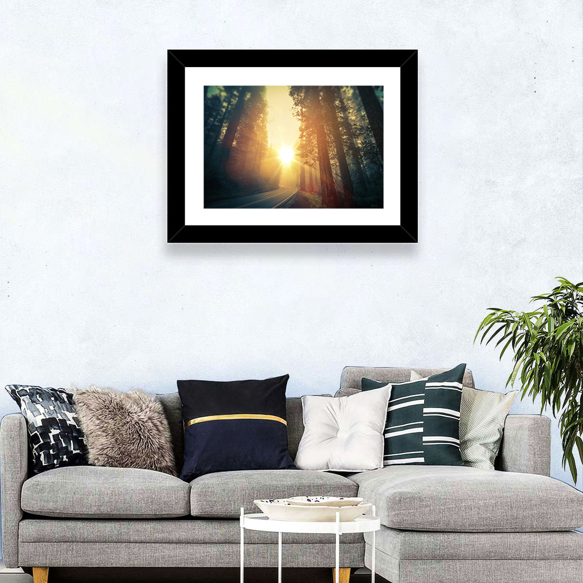 Misty Redwood Road with Golden Sunburst Wall Art