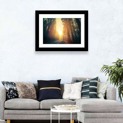 Misty Redwood Road with Golden Sunburst Wall Art