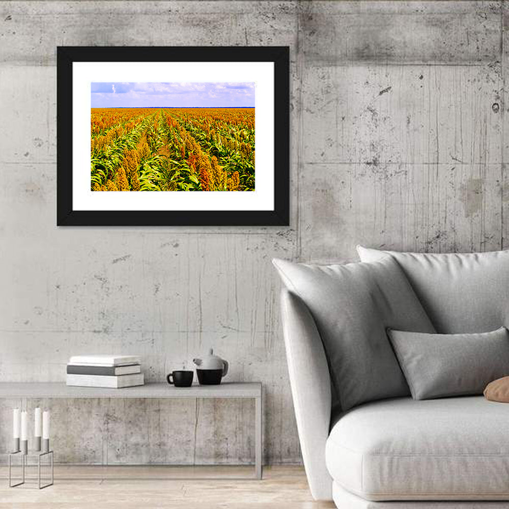 Sorghum Field Wall Art in a room, landscape