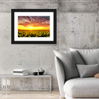 Golden Hour Sunflower Field Wall Art