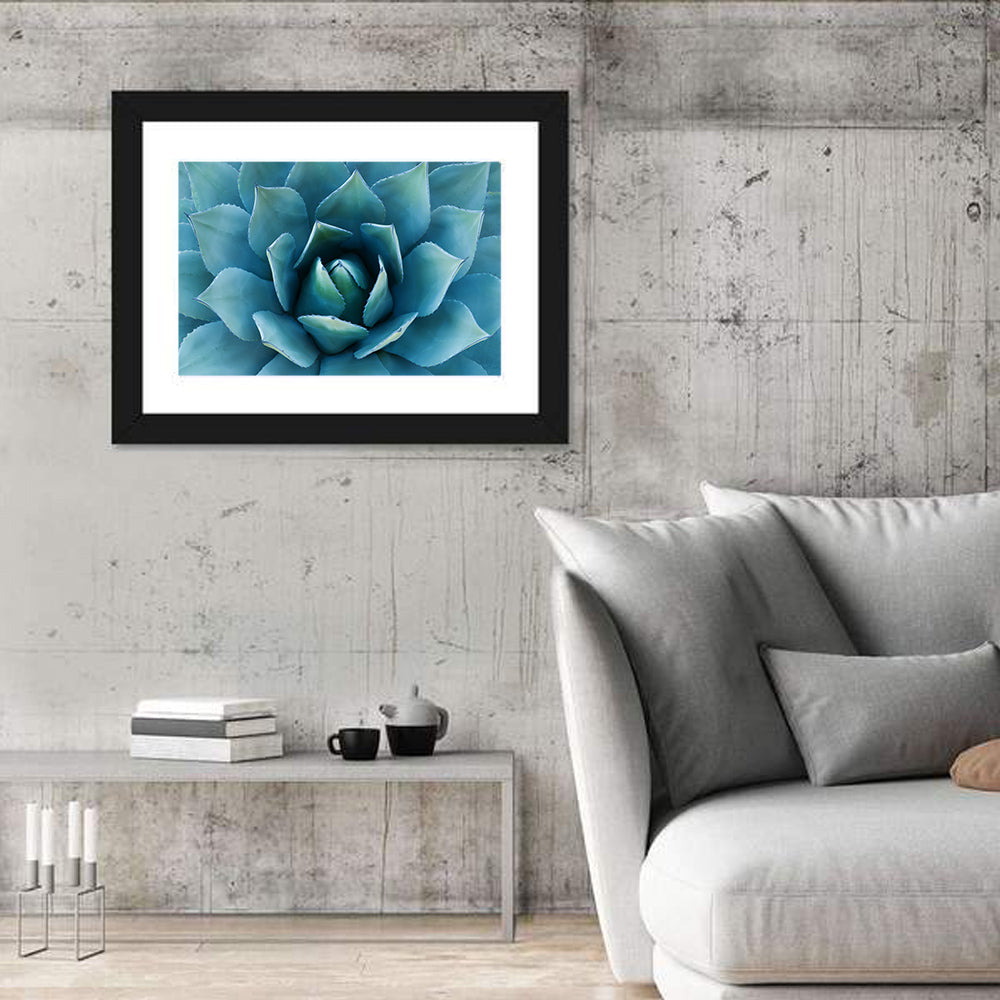 Spiral Agave Macro Wall Art