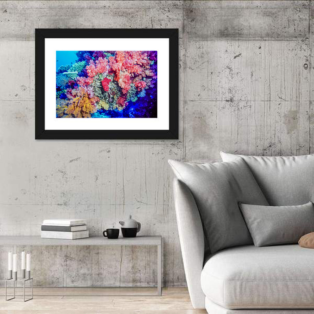 Coral Reef Wall Art