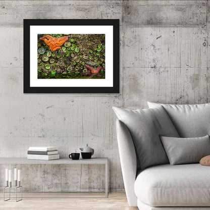 Orange Starfish Tide Pool Wall Art
