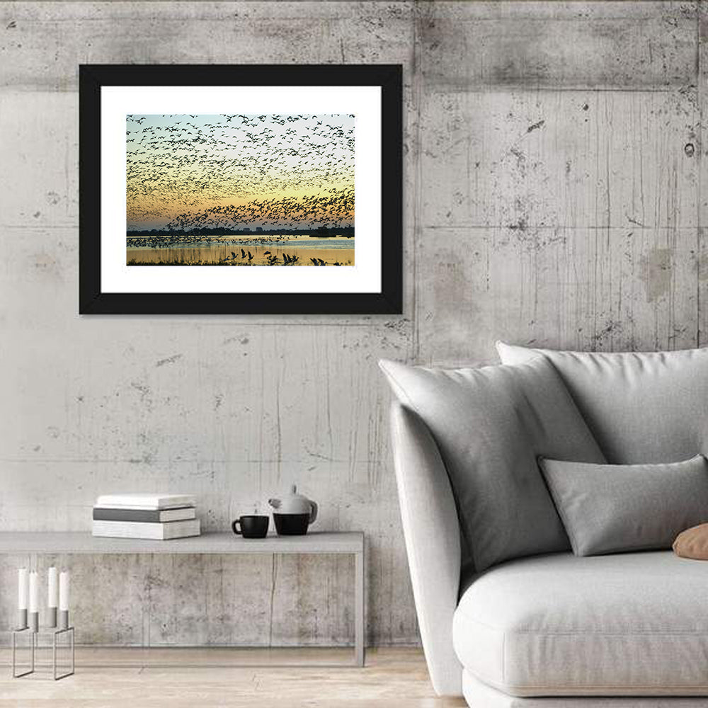Snow Geese Over River Wall Art in a room, landscape