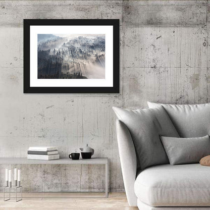 Misty Forest Sunrise Wall Art