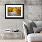 Winding Autumn Road Wall Art