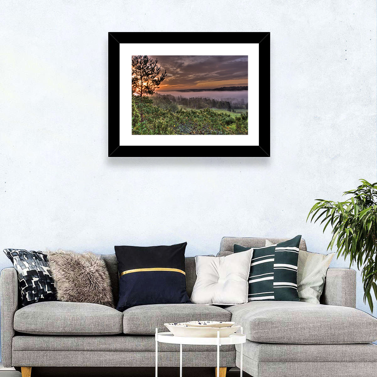 Misty Swedish Pine Valley Wall Art