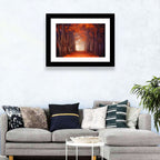 Misty Autumn Forest Path Wall Art