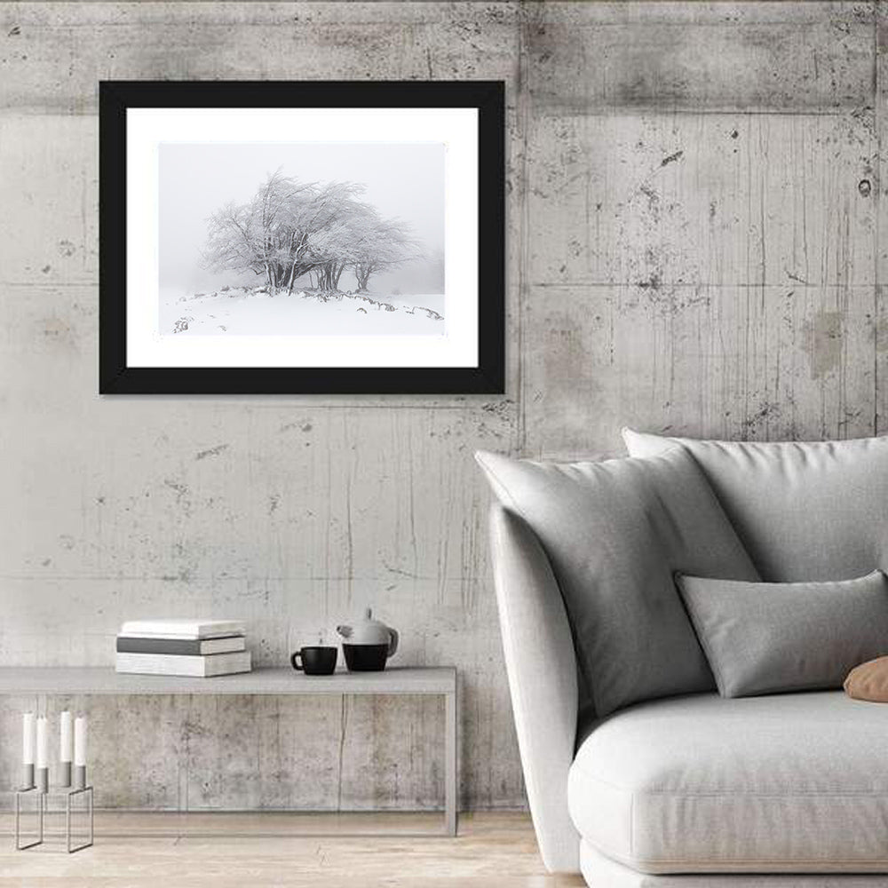 Rime Coated Winter Trees Wall Art in a room, landscape