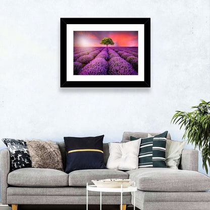 Sunset Over Lavender Fields Wall Art