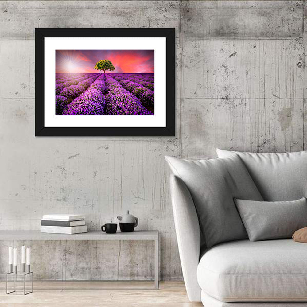 Sunset Over Lavender Fields Wall Art
