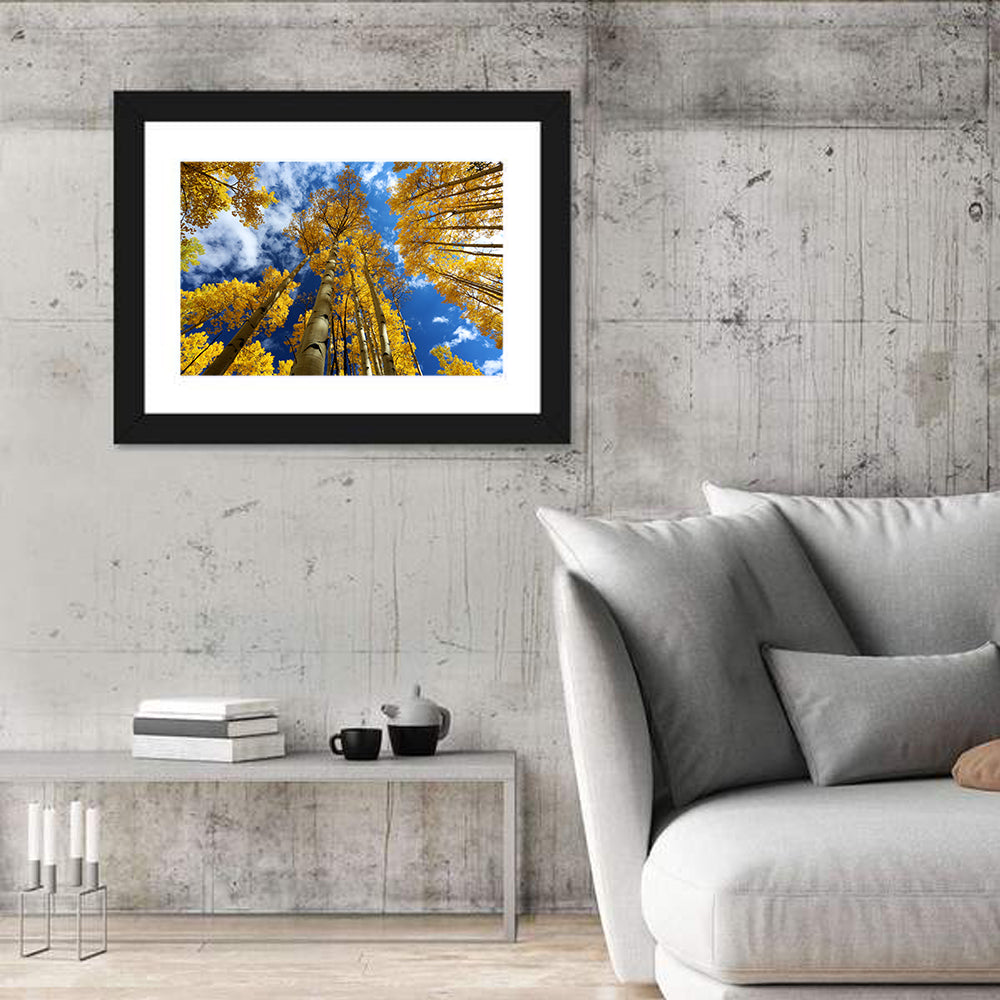 Aspen Trees Wall Art