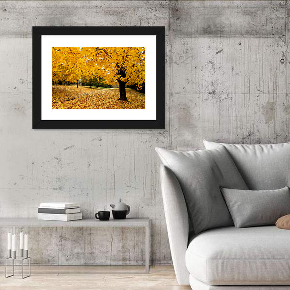 Baltimore Autumn Foliage Wall Art in a room, landscape