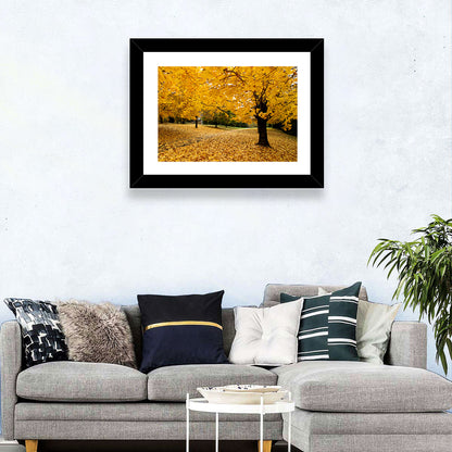 Baltimore Autumn Foliage Wall Art
