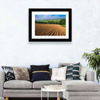 Kansas Wheat Fields Wall Art