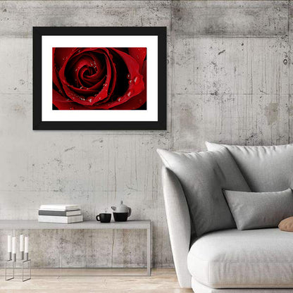 Red Rose with Dew Drops Wall Art