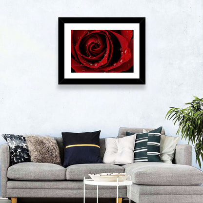 Red Rose with Dew Drops Wall Art