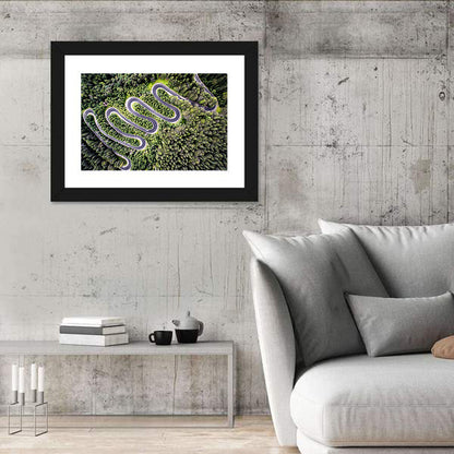 Serpentine Mountain Road Wall Art