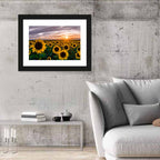 Sunflower Field at Sunset Wall Art
