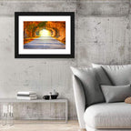 Golden Autumn Tree Tunnel Wall Art