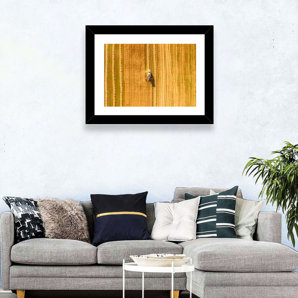 Aerial Wheat Harvest Wall Art
