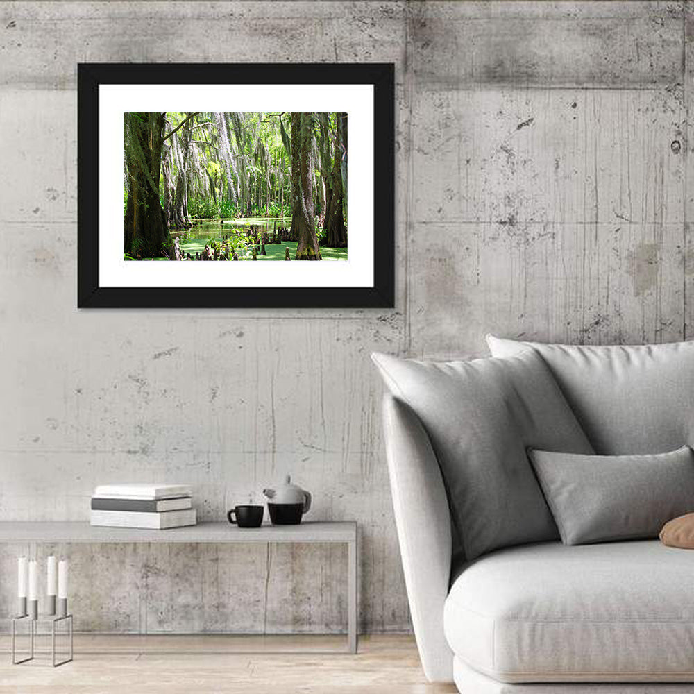 Louisiana Cypress Swamp Wall Art in a room, landscape