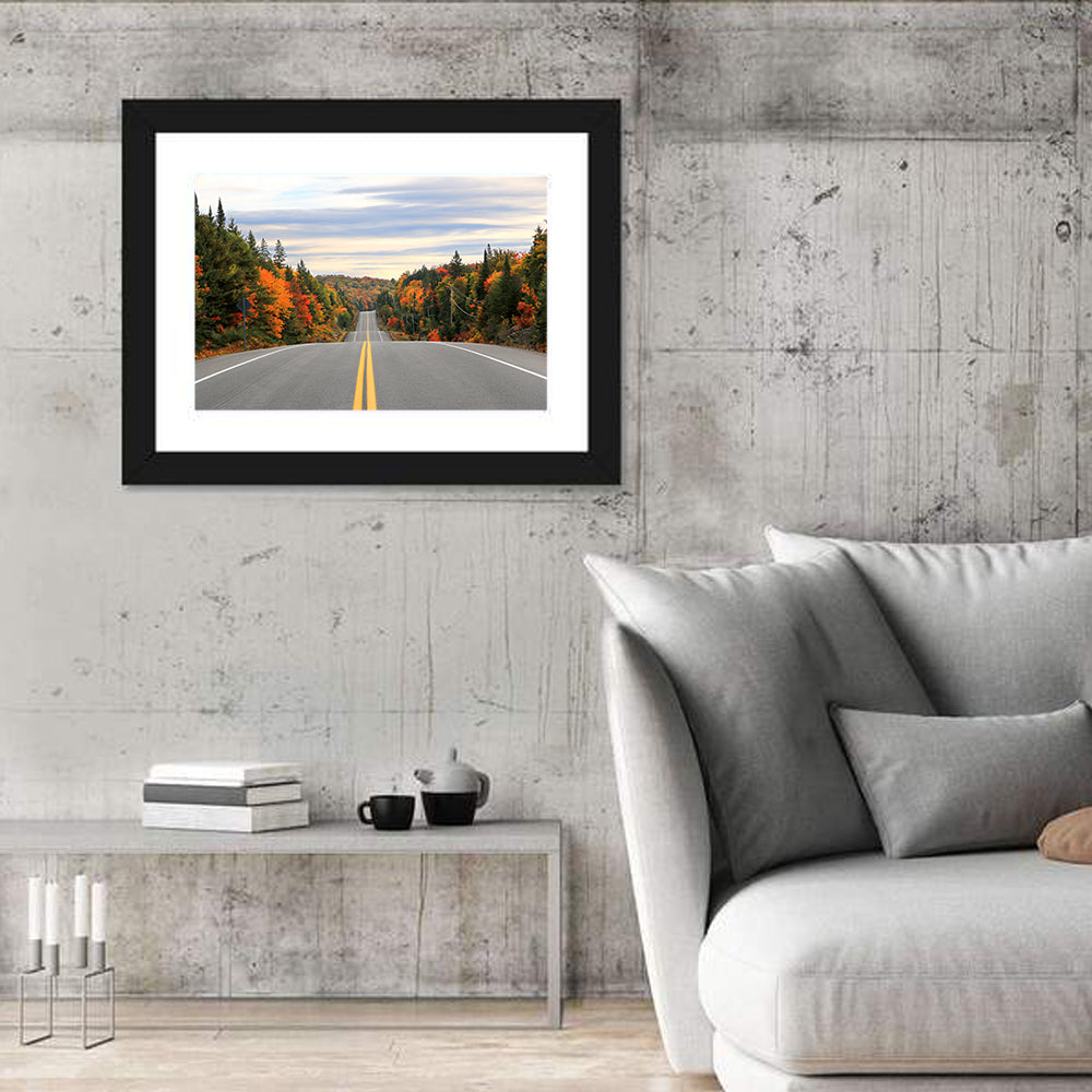Algonquin Park Road Wall Art in a room, landscape