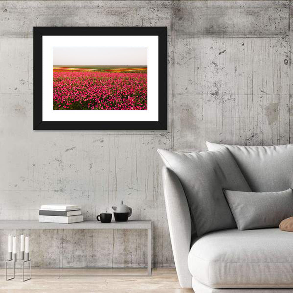 Pink Ranunculus Flower Field Wall Art