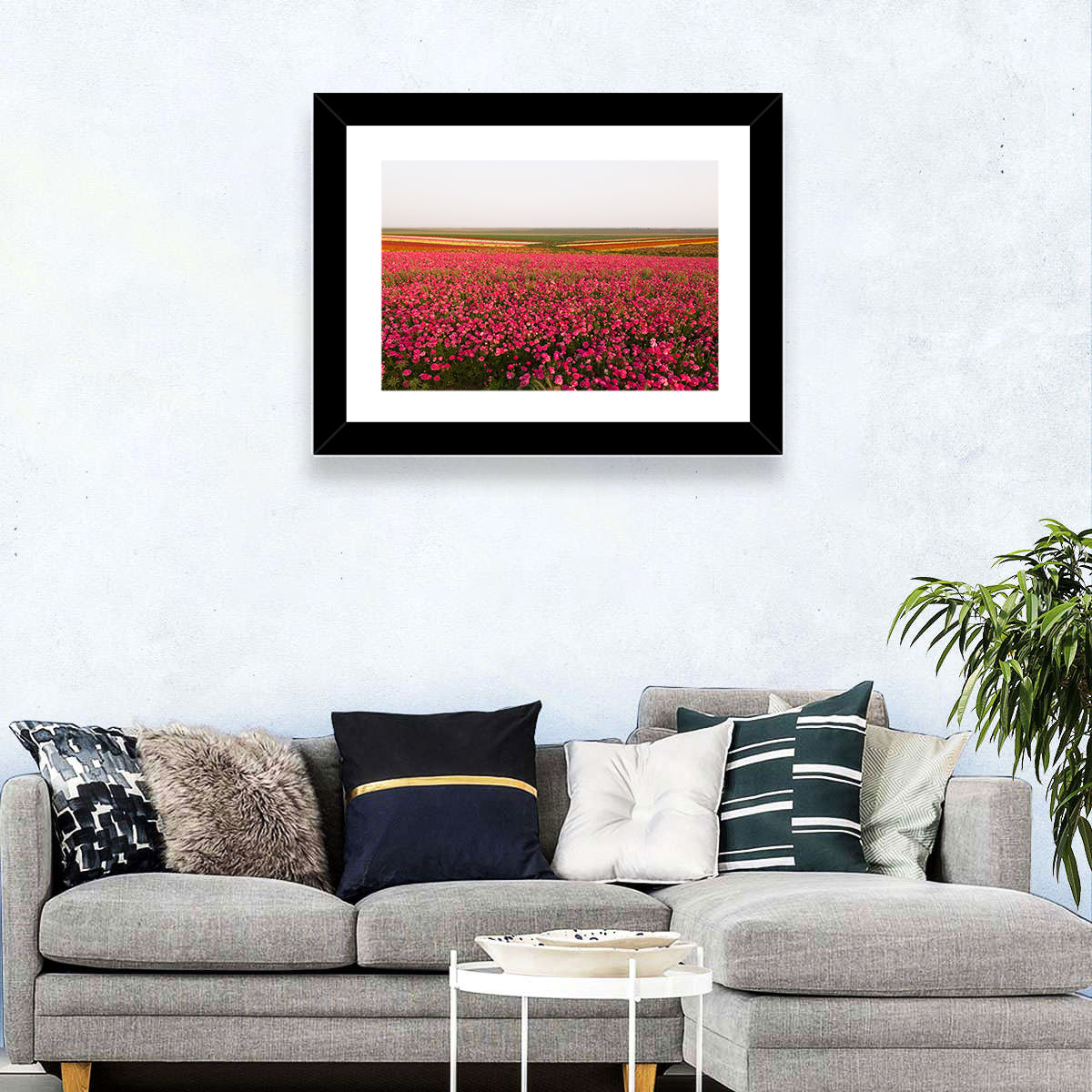 Pink Ranunculus Flower Field Wall Art