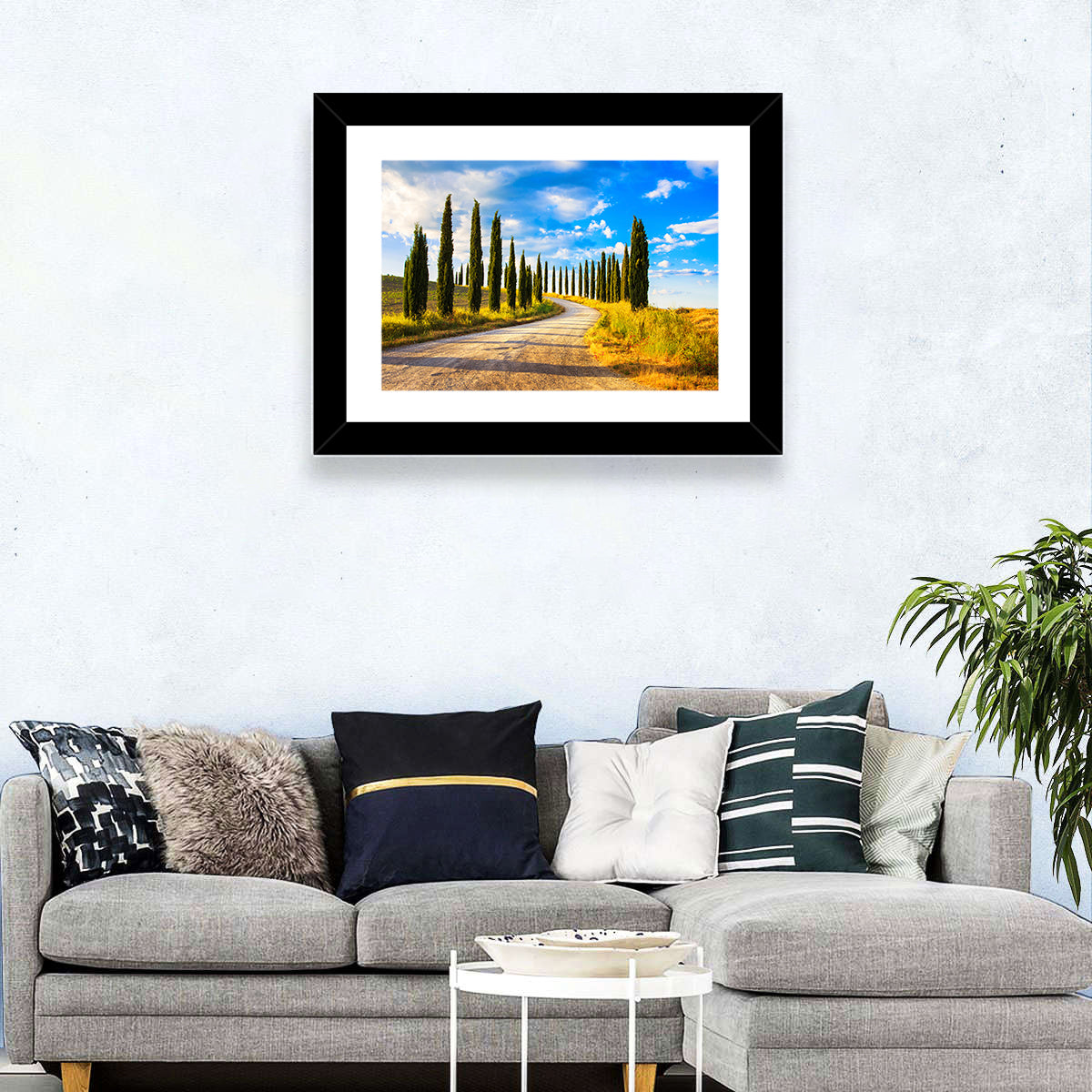 Sunlit Tuscany Cypress Road Wall Art