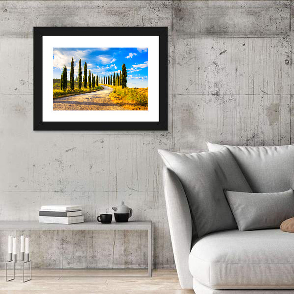 Sunlit Tuscany Cypress Road Wall Art