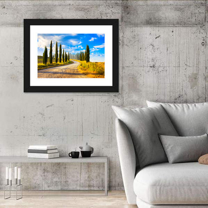 Sunlit Tuscany Cypress Road Wall Art