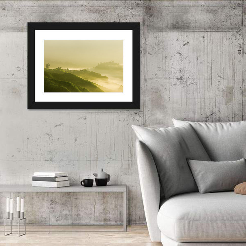 Tea Plantation Morning Mist Wall Art in a room, landscape
