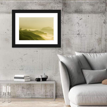 Tea Plantation Morning Mist Wall Art