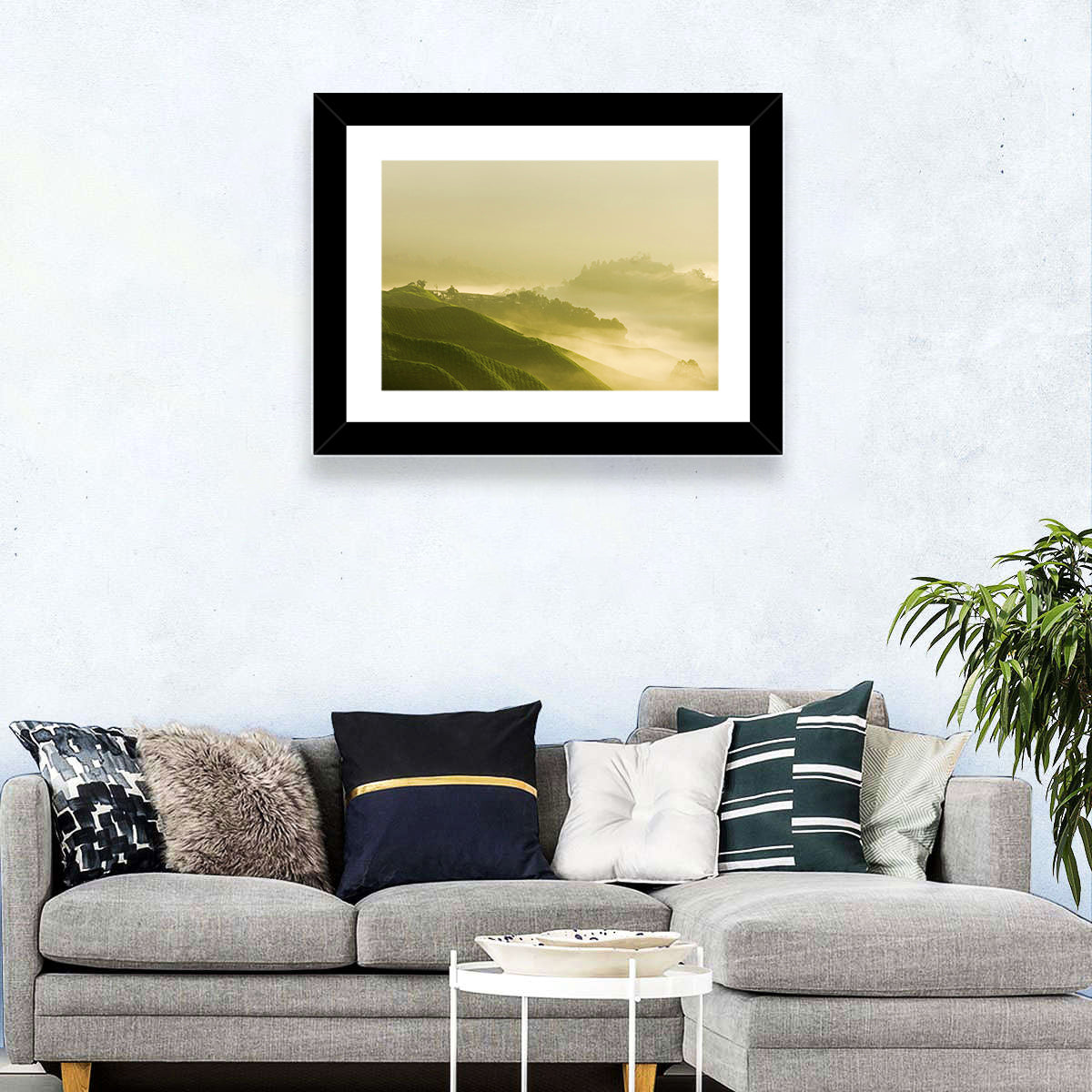 Tea Plantation Morning Mist Wall Art