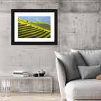 Mu Cang Chai Rice Terraces Wall Art