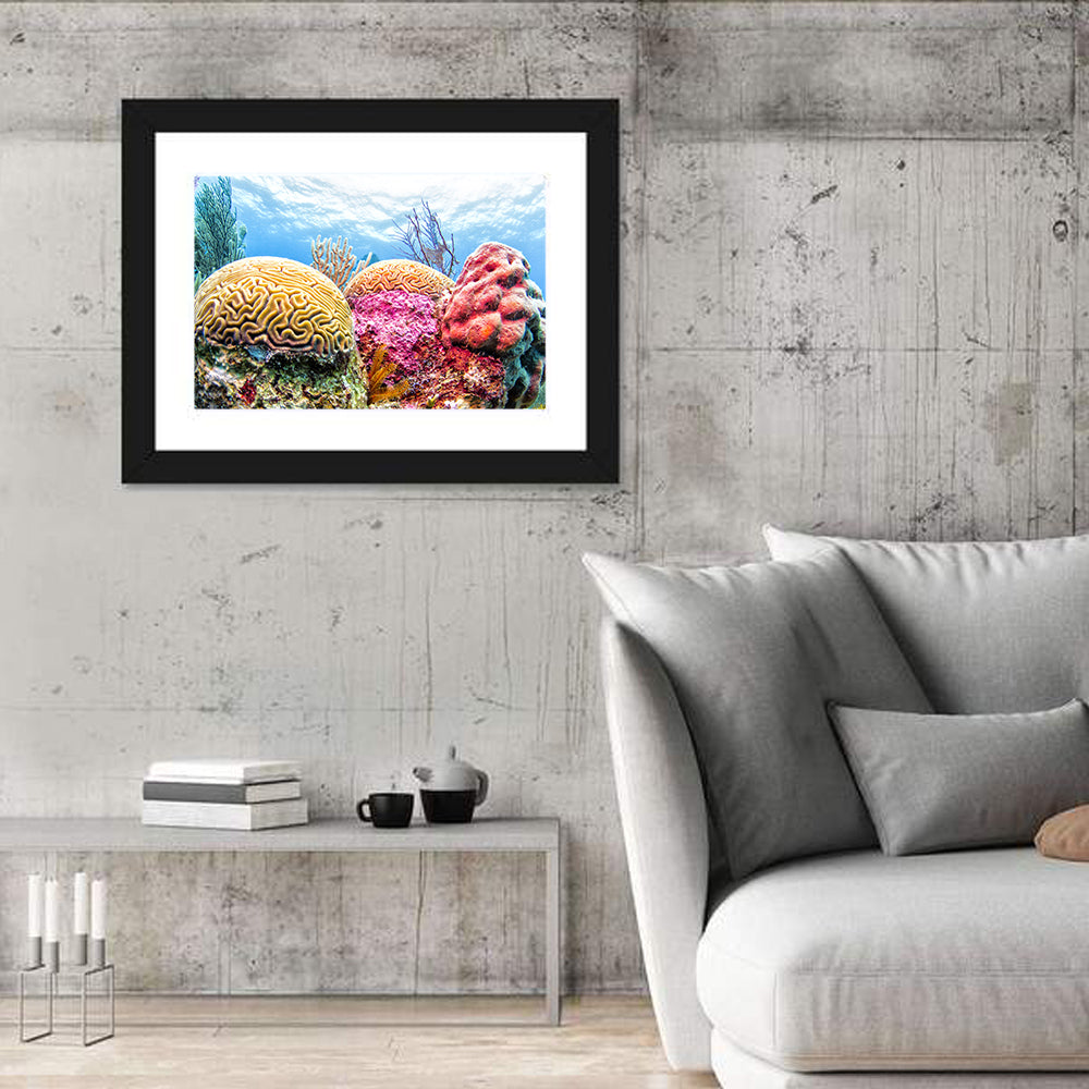Vibrant Brain Coral Reef Wall Art in a room, landscape