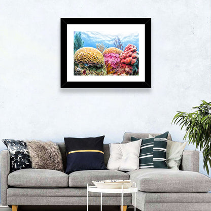 Vibrant Brain Coral Reef Wall Art