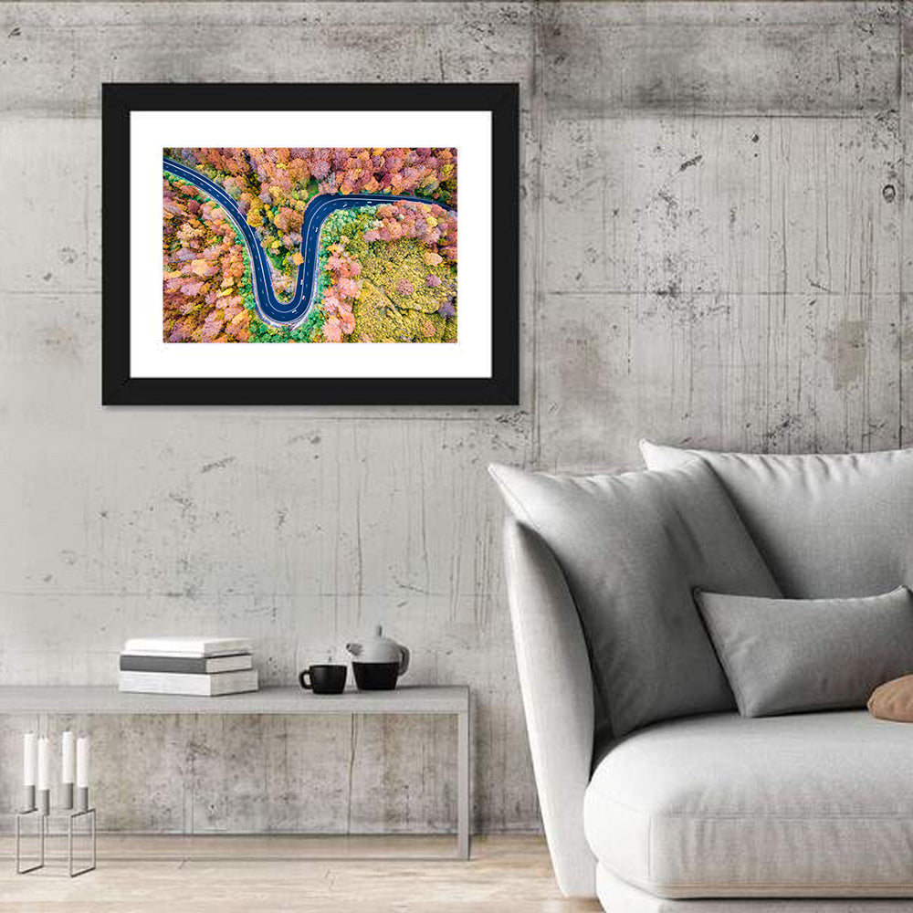 Winding Forest Road Wall Art